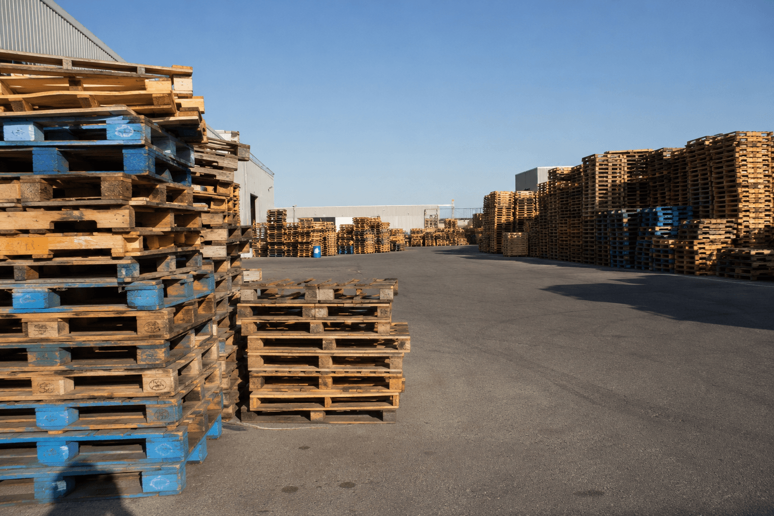 Pallet yard with stacks running down the lot