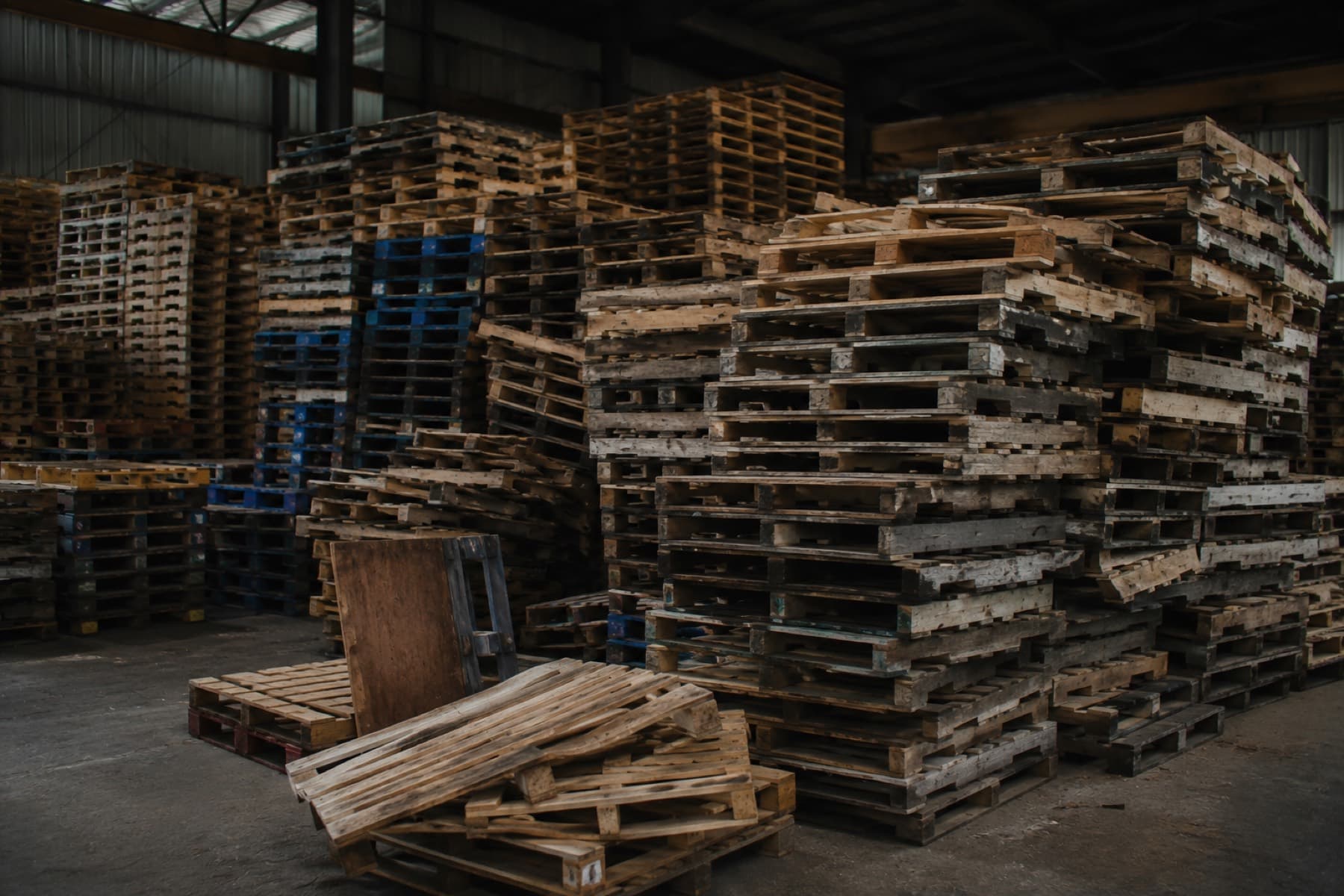Stacks of reclaimed wooden pallets at the EcoPallet Tucson yard